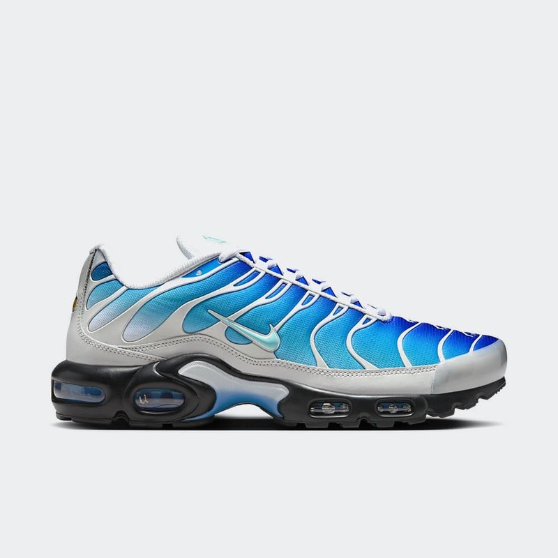 Air max plus purple and blue on sale